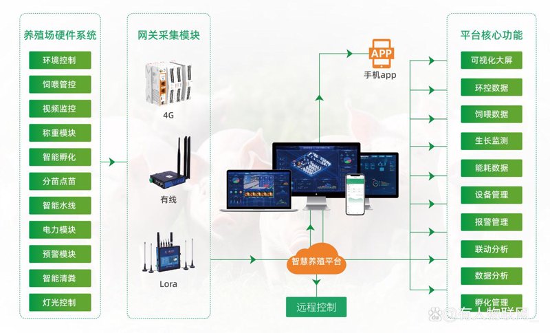 如何选购一款适合的定制管理系统